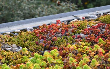 the cost of Clyffe Pypard green roof installation