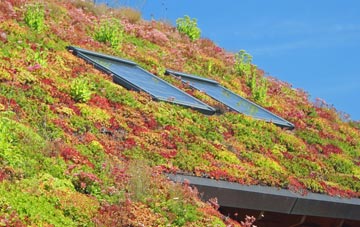 Clyffe Pypard living roof systems
